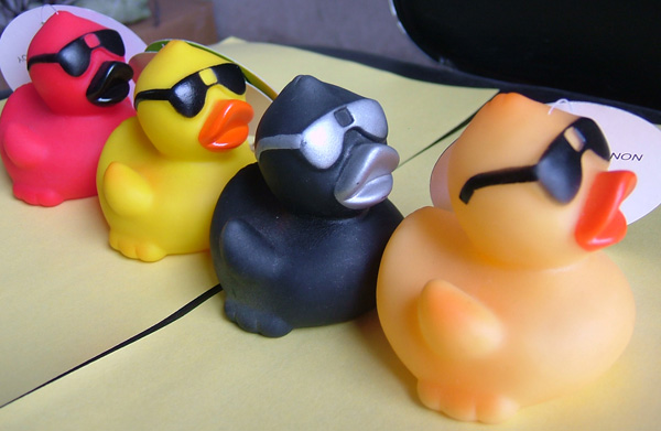 Small duck with glasses,cool